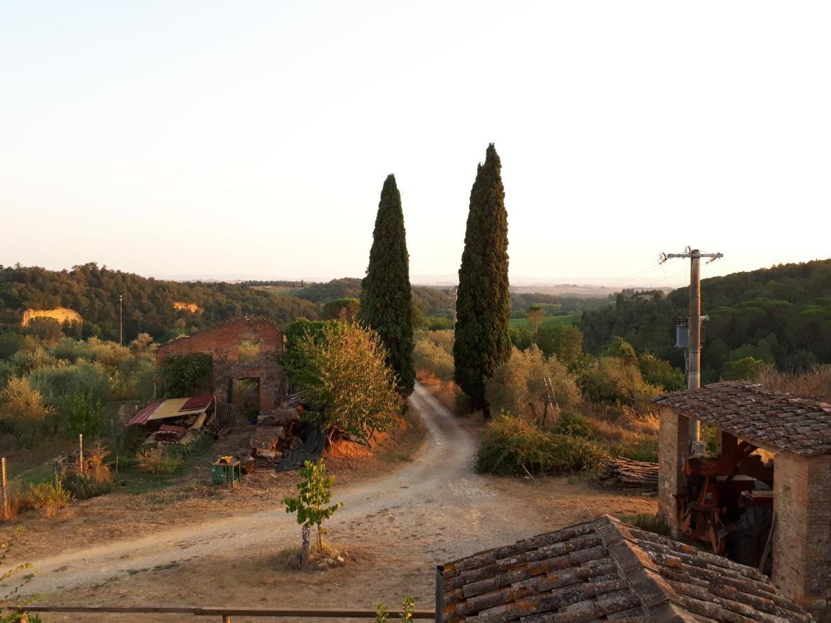 Podere Calcinaia Кастельнуово-Берарденга Экстерьер фото