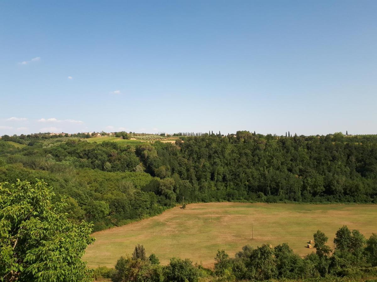 Podere Calcinaia Кастельнуово-Берарденга Экстерьер фото