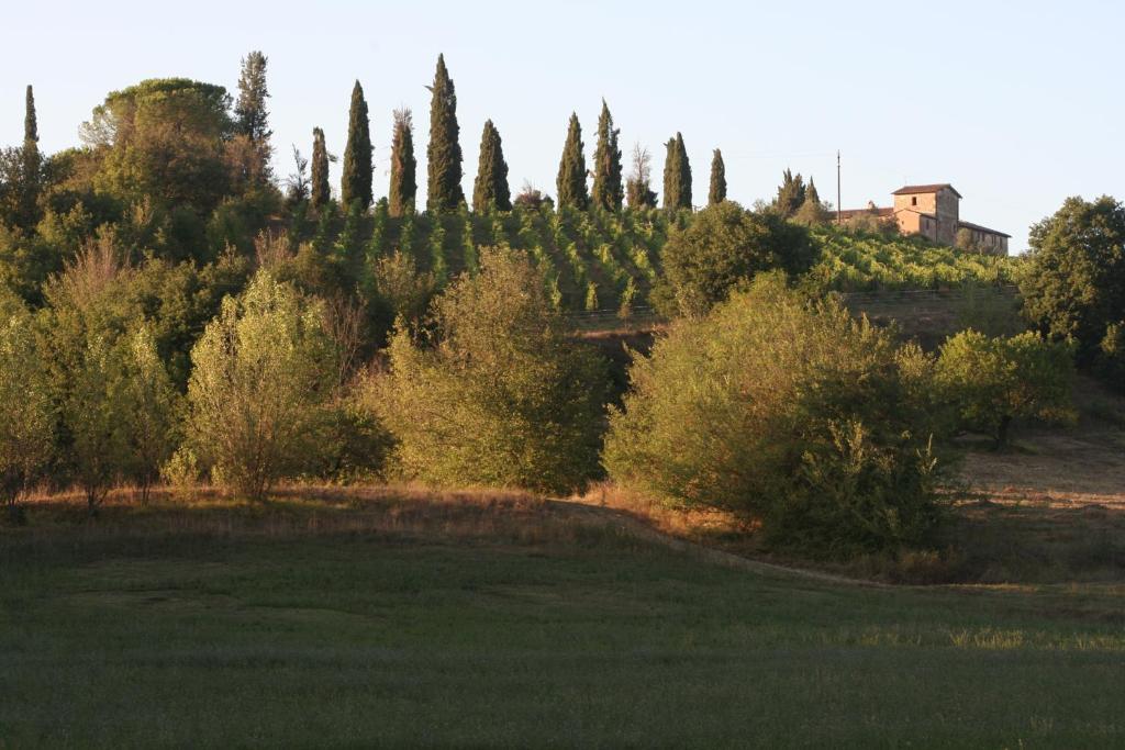 Podere Calcinaia Кастельнуово-Берарденга Экстерьер фото